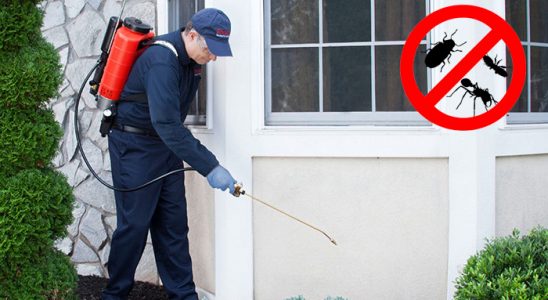 Uzunköprü Bit İlaçlama böcek ilaçlama ve haşere kontrolü — ilaclama-tr.com